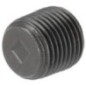 Solid plug 1/8 BSPT - VSC02 Solid plug 1/8 BSPT - VSC02
