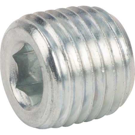 Conical nipple 1/4 NPT - VSC04NPT
