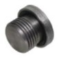 End Plug CS R1/2 - VSR08WD