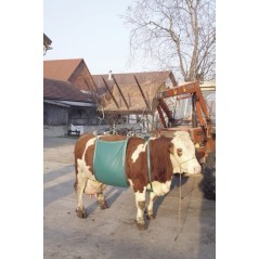 Cattle lifts – produkty dostępne w rolniczeczesci.pl