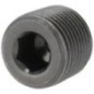 Solid plug 3/8 BSPT - VSC06 Solid plug 3/8 BSPT - VSC06
