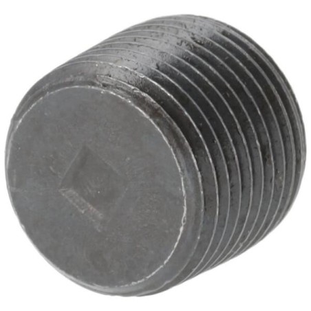 Solid plug 3/8 BSPT - VSC06