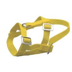 Collars and halters – produkty dostępne w rolniczeczesci.pl