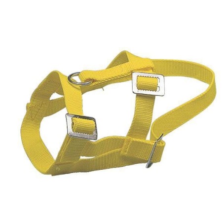 Collars and halters – produkty dostępne w rolniczeczesci.pl