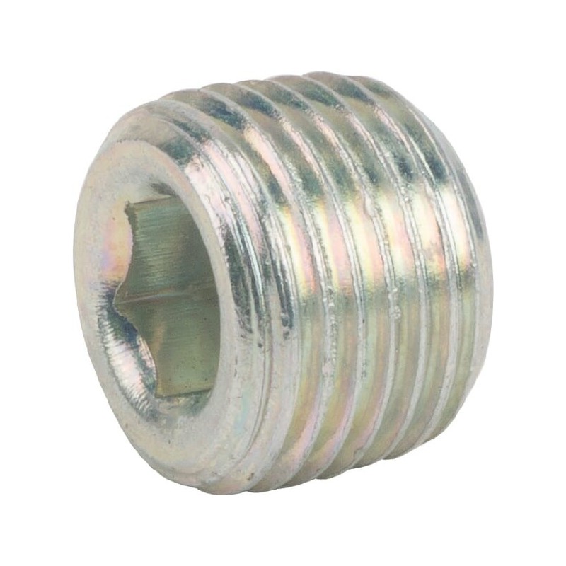 Conical nipple 1/8 NPT - VSC02NPT Conical nipple 1/8 NPT - VSC02NPT