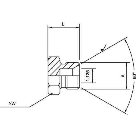Korek 1/4 BSP - VSZ04