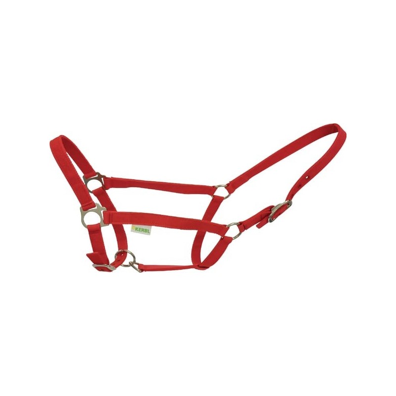 Bridle / Cattle halter - VV12613