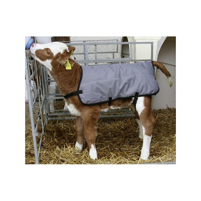 Kälberdecke 70cm - VV14155 Kälberdecke 70cm - VV14155