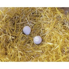 Poultry farming – produkty dostępne w rolniczeczesci.pl