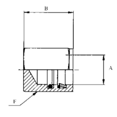Bush coupling 10mm - WEO148110400