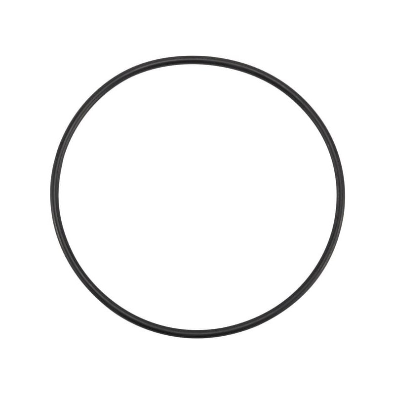 O-ring - X548960666000