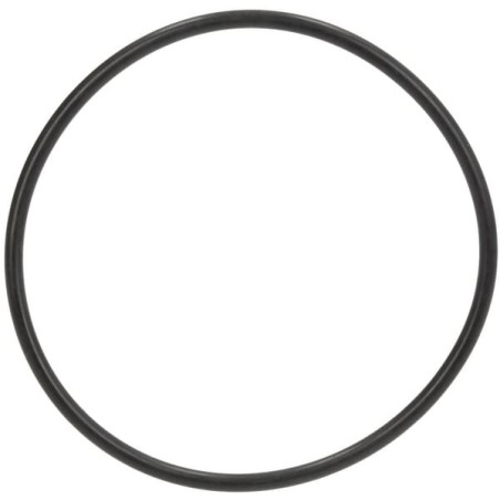 O-Ring - X548977501000
