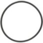 O-Ring - X548977501000