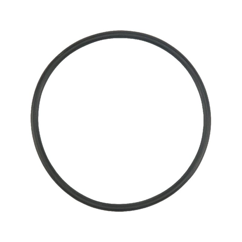 O-ring - X548941966000