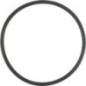 O-ring - X548941966000