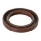 Dichtring - X550110410000 Dichtring - X550110410000
