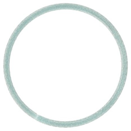 Guide Ring - X560240001000