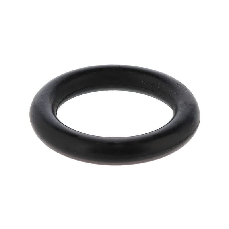 O-Ring 2031 - X4005