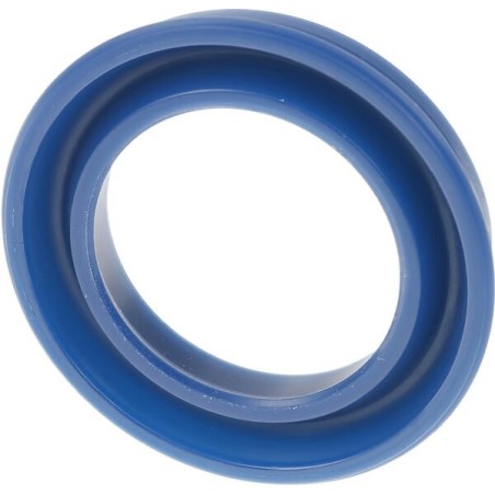 Lip Seal - X4060