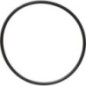 O-Ring - X548967266000 O-Ring - X548967266000