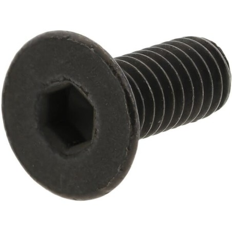 Screw M 4x10 T.S.E. - X3002