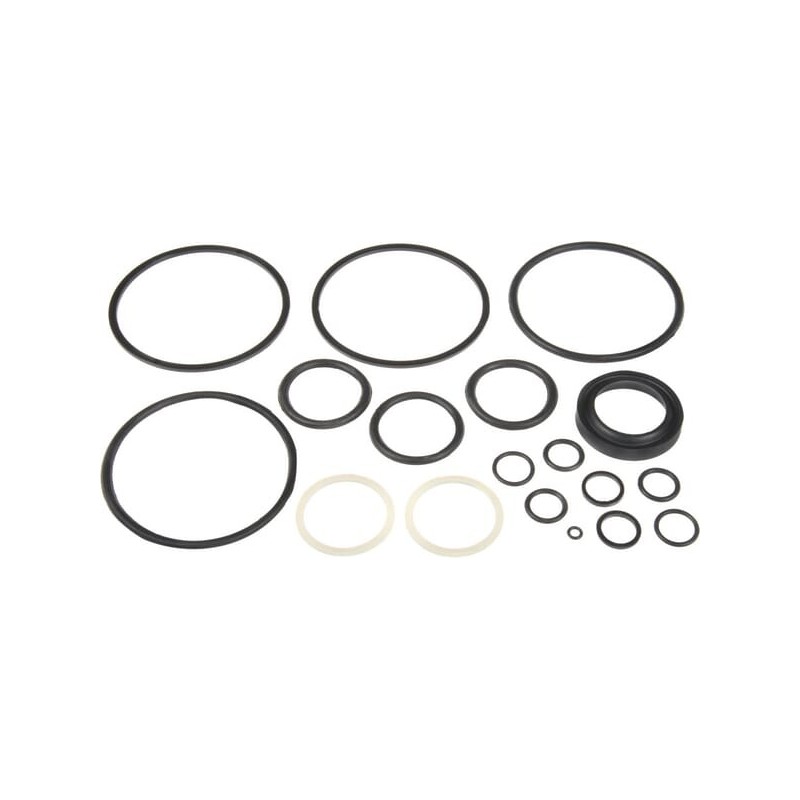 Seal kit Belarus - Z1001313N