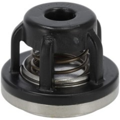 ZF1582 Amazone, Amazone 