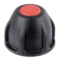ZF900 Amazone, Amazone 