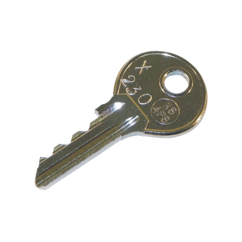 Ignition key X230 - ZSX230 Ignition key X230 - ZSX230