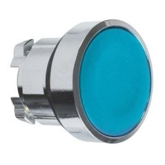 Press button blue, stay put - ZB4BH06