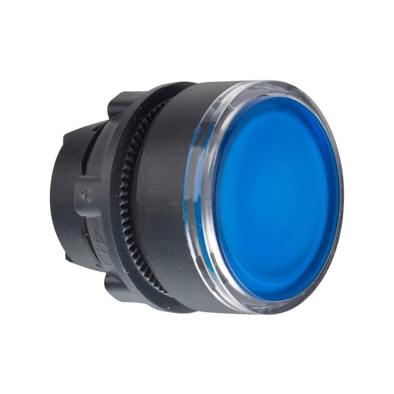 Pushbutton blue - ZB5AW363