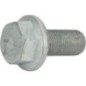Screw - Z71426