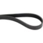 V-belt - 0011147950 V-belt - 0011147950