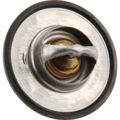 Termostat - 0011381470