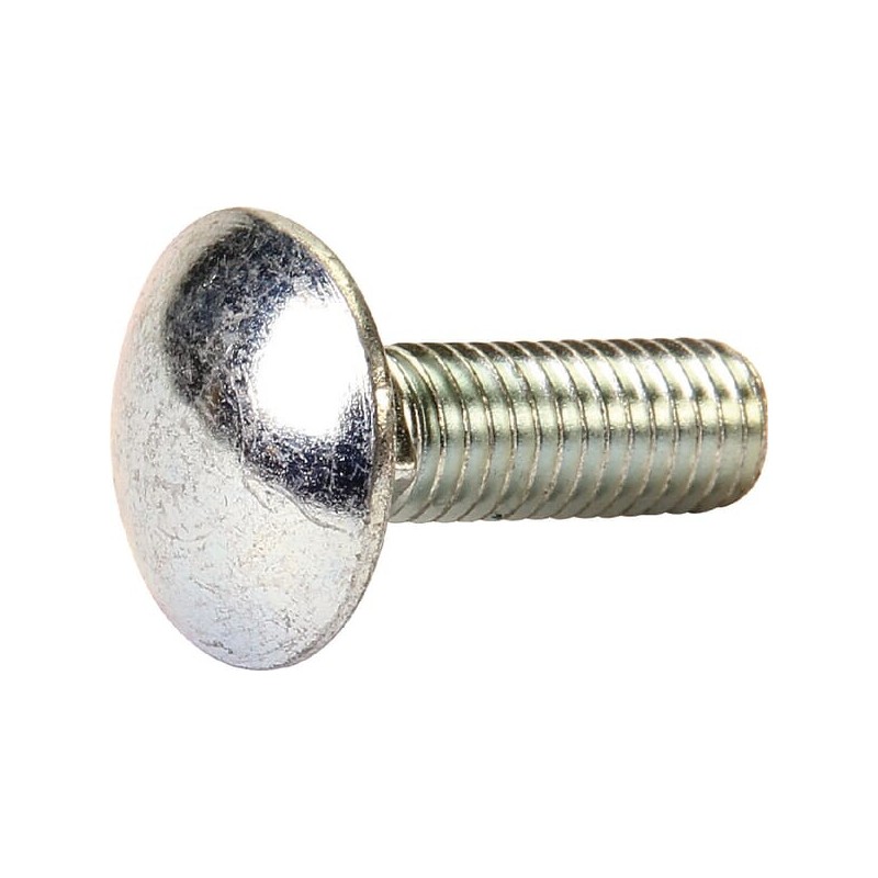 Screw M 8x25 DIN 603 - 0013671 Screw M 8x25 DIN 603 - 0013671