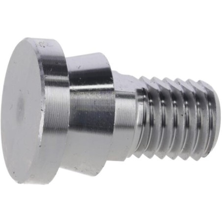 Blade bolt M12x17 10.9 - 00119016