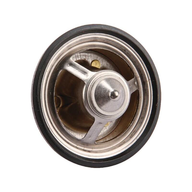Thermostat - 0011738580 Thermostat - 0011738580