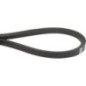 V-belt - 00075325 V-belt - 00075325