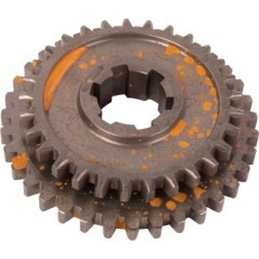 00066601 Goldoni, Passend für Goldoni 
