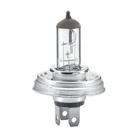 Light bulb 24V P45t Raico - 002088271