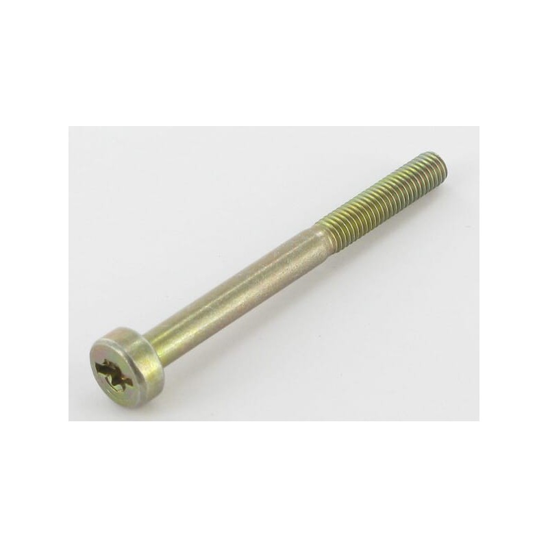 Screw Torx M5x55 - 0018378 Screw Torx M5x55 - 0018378