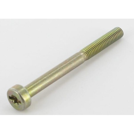 Screw Torx M5x55 - 0018378