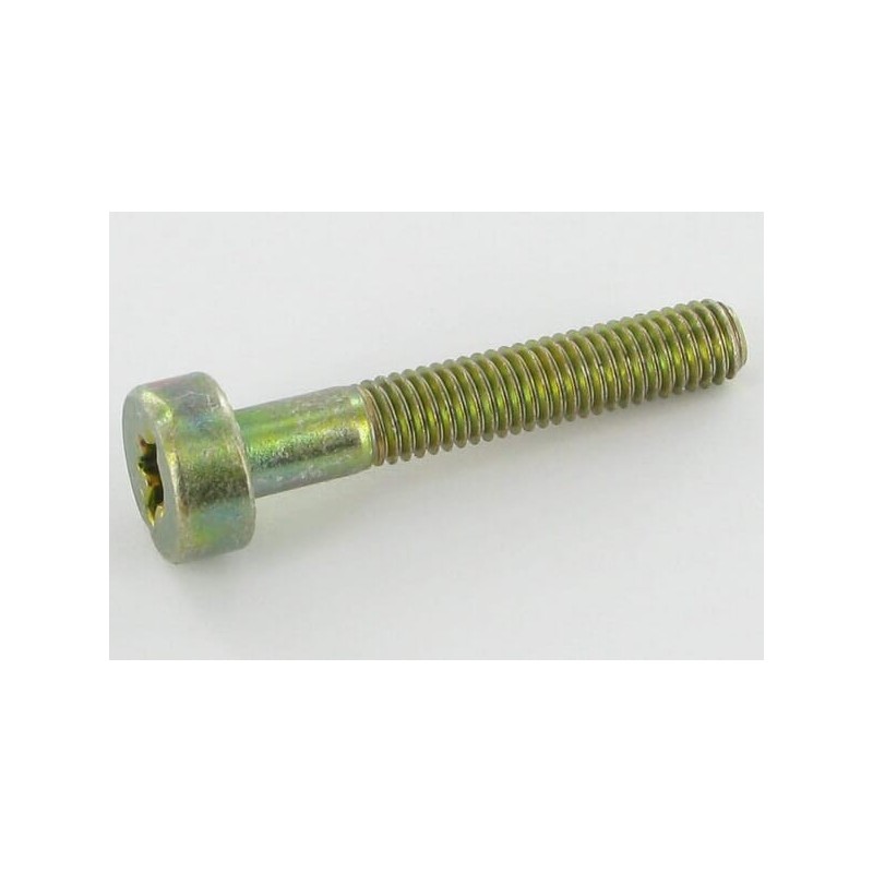 Bolt Torx5x30 - 0018339