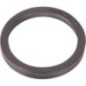 Piston gasket - 00042223 Piston gasket - 00042223