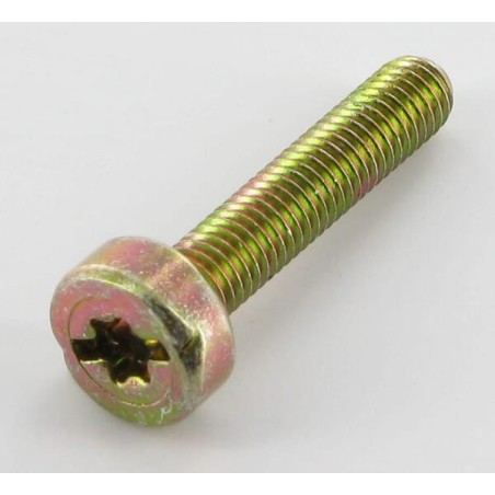 Bolt Torx5x25 - 0018338