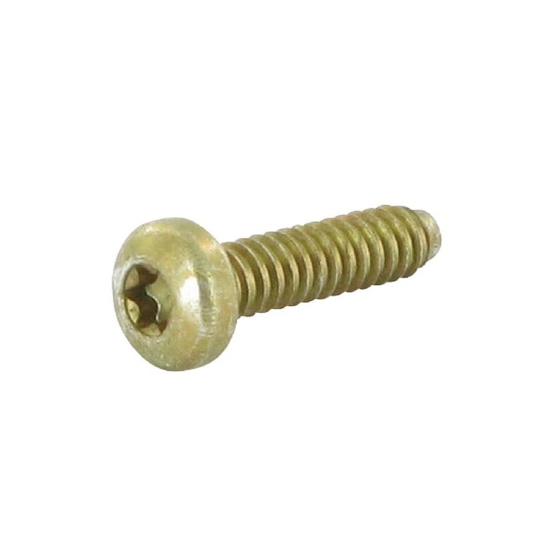 Schraube DG 50x20 - 0018175 Schraube DG 50x20 - 0018175