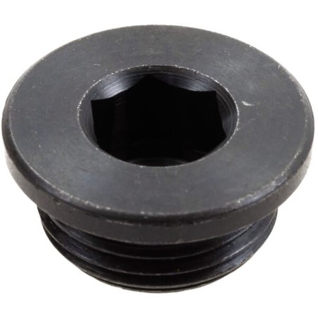 Plug - 00065082