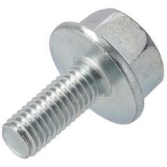 Screw - 00009510901