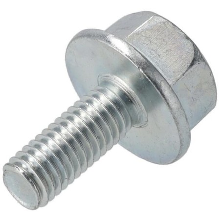 Screw - 00009510901