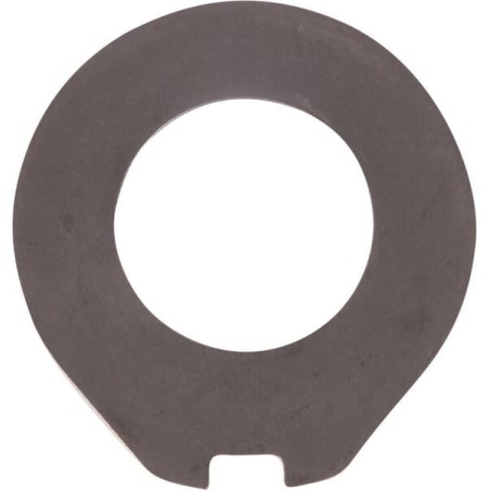 Fixed disc 29.5900.02 - 00018017